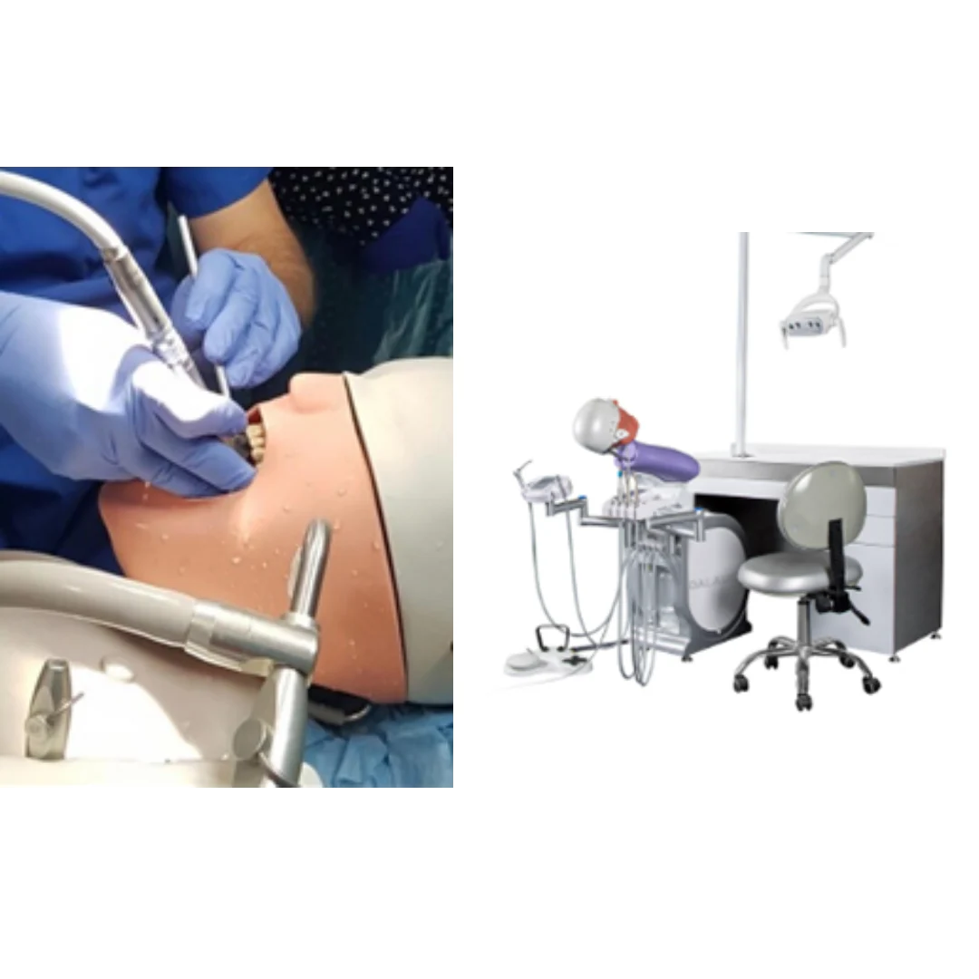 AL-HAMADANI LDS COURSES